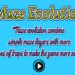Maze Evolution